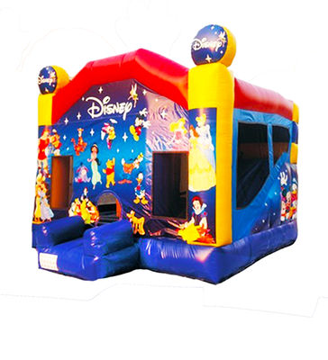 Lâu đài nhảy bơm Disneyland với trượt băng cho trẻ em