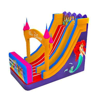 Trẻ em Công viên vui chơi bơm Desneyland Princess Slide Cho thuê