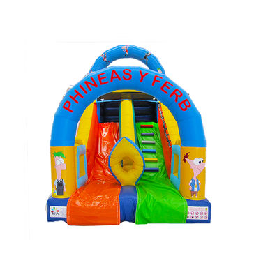 Phineas và Ferb Slide cho thuê