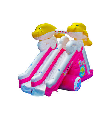 Dolphin Double Lane Inflatable Slide Cho Trẻ em Công viên giải trí