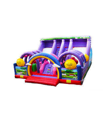 Tùy chỉnh Slide hai làn đường lớn slide thổi phồng màu tím