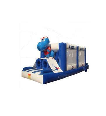 Trắng và xanh đậm trẻ em công viên vui chơi trượt tuyết bơm cho thuê